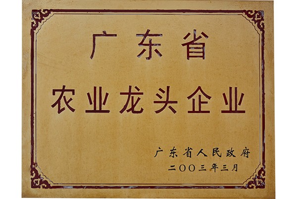 2003年广东省农业龙头企业