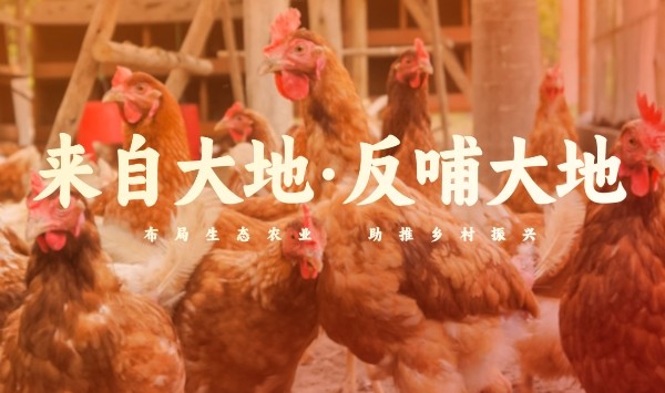 白切鸡食材供应商如何保障食品安全 